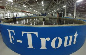 Trout Production Facility, Russia